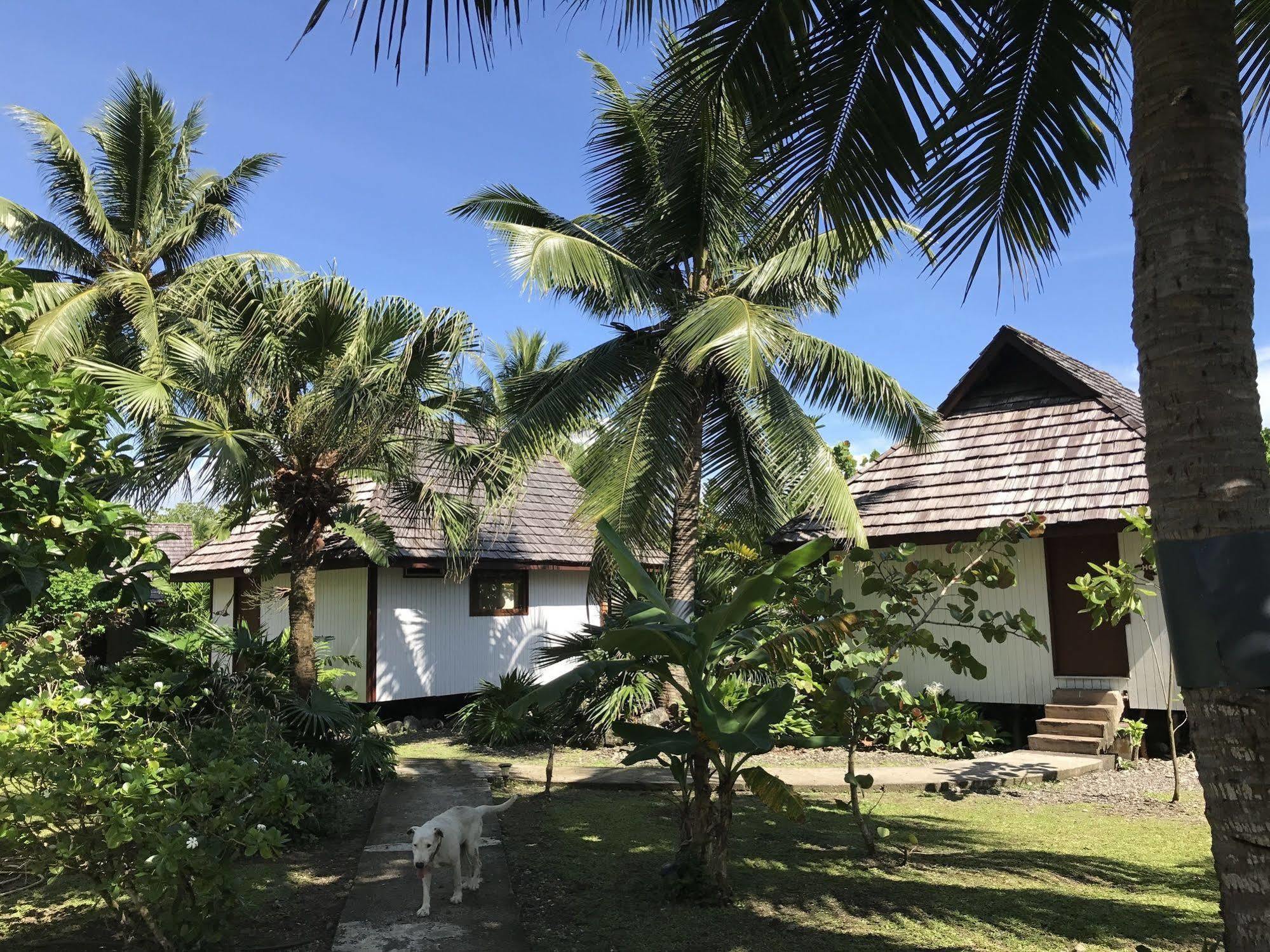 Punatea Village Afaahiti Extérieur photo