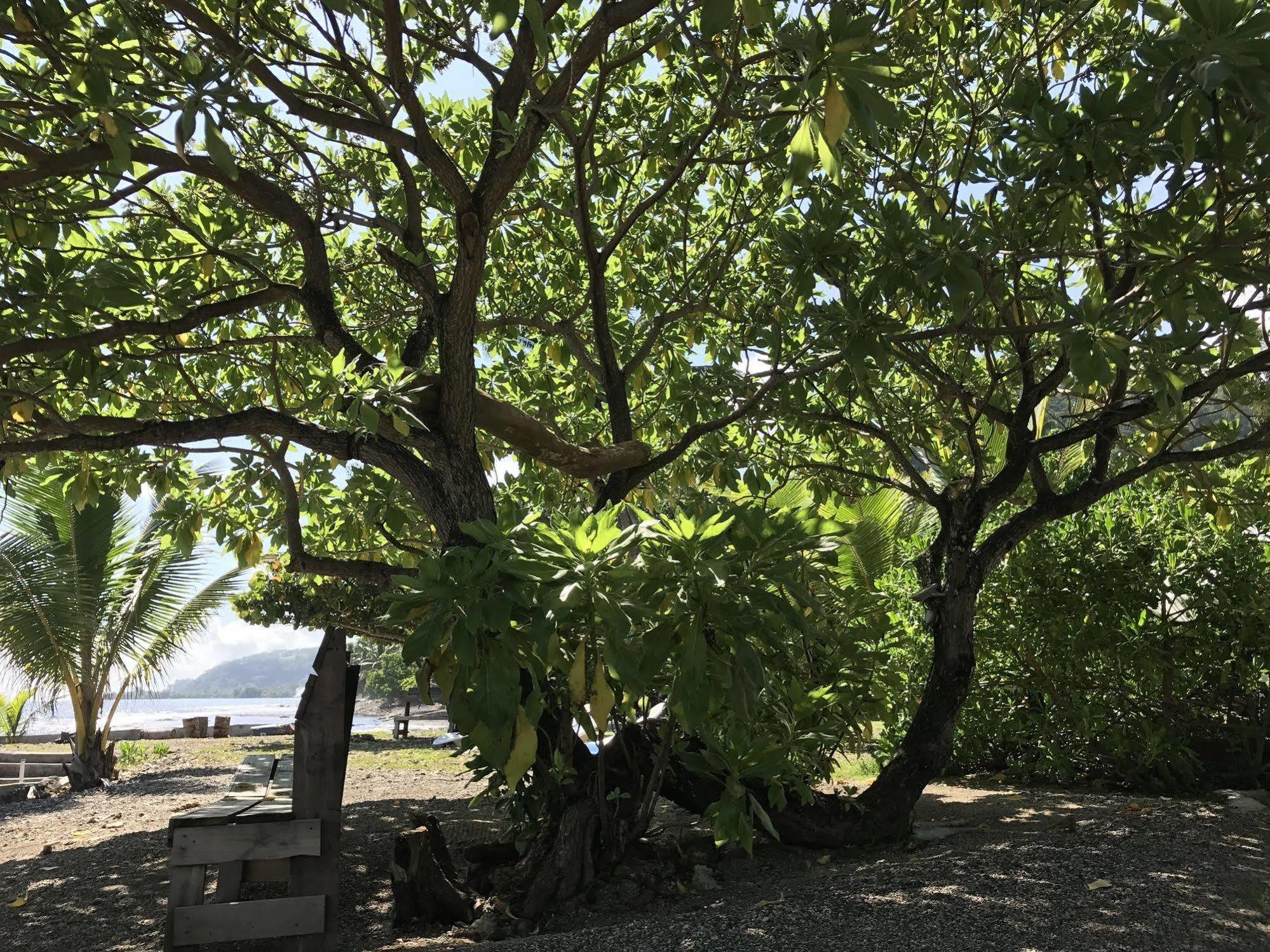 Punatea Village Afaahiti Extérieur photo