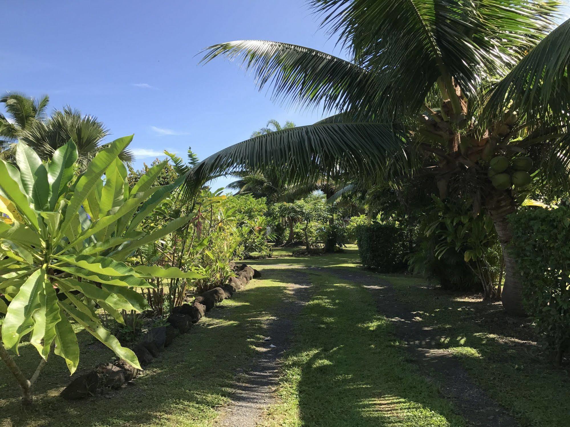 Punatea Village Afaahiti Extérieur photo