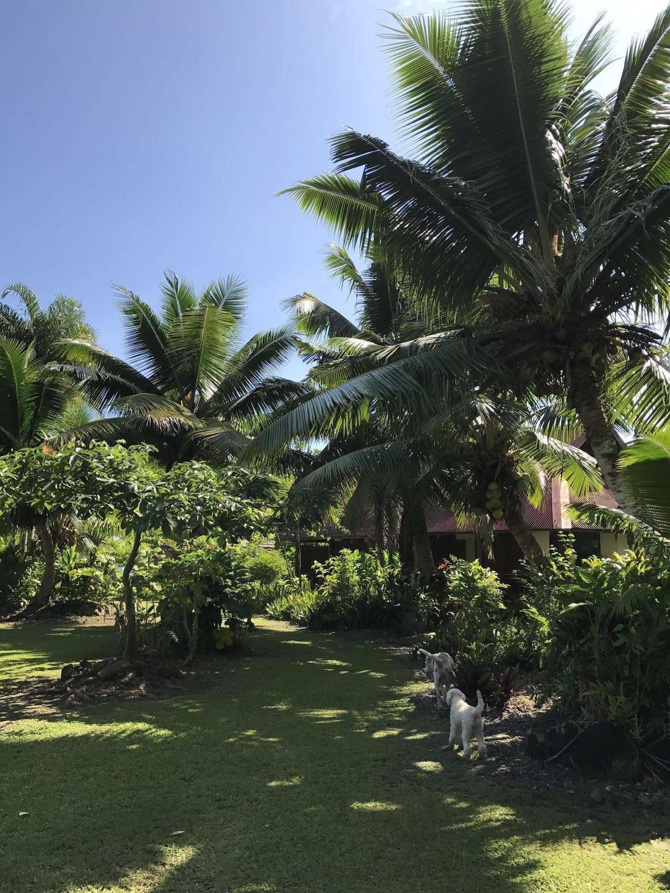 Punatea Village Afaahiti Extérieur photo