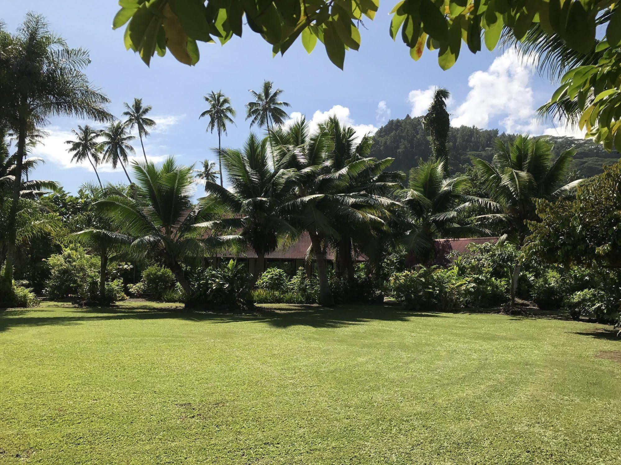 Punatea Village Afaahiti Extérieur photo